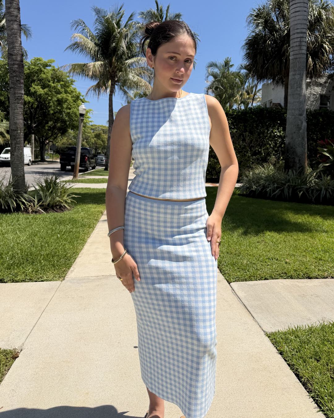 BLUE GINGHAM SKIRT plus-size - AMOUR781