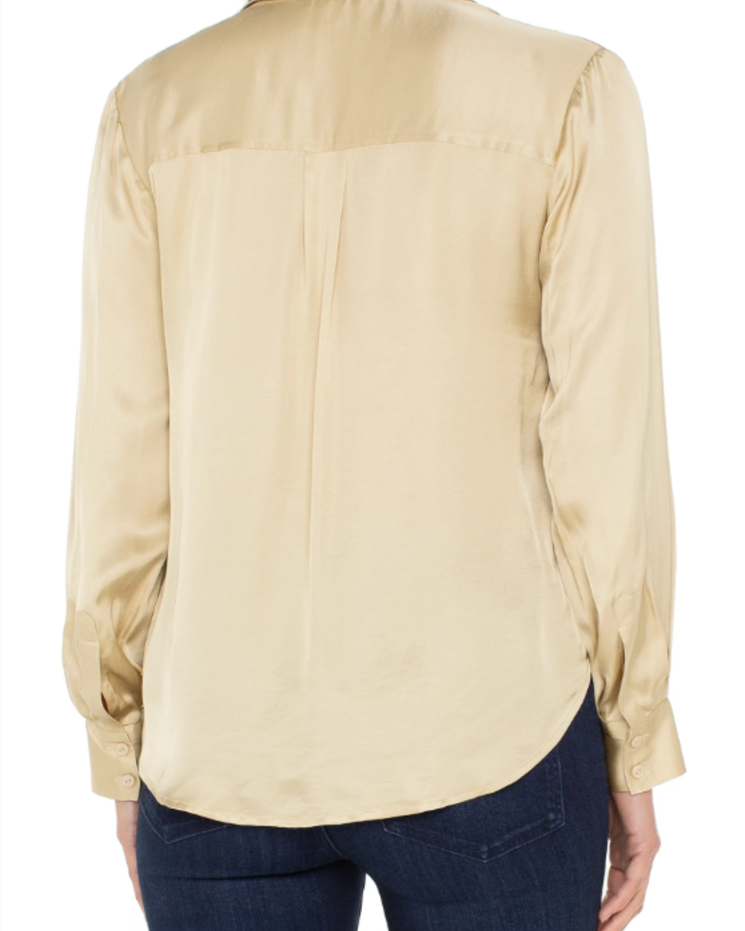 LONG SLEEVE BUTTON FRONT WOVEN SHIRT plus-size - AMOUR781