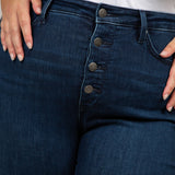 ALINA HIGH RISE BUTTON FLY JEANS - AMOUR781
